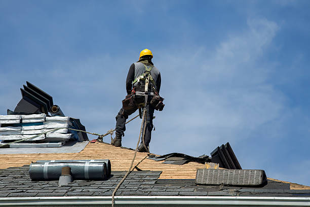 Professional Roof Replacement technician working in Courtland, VA